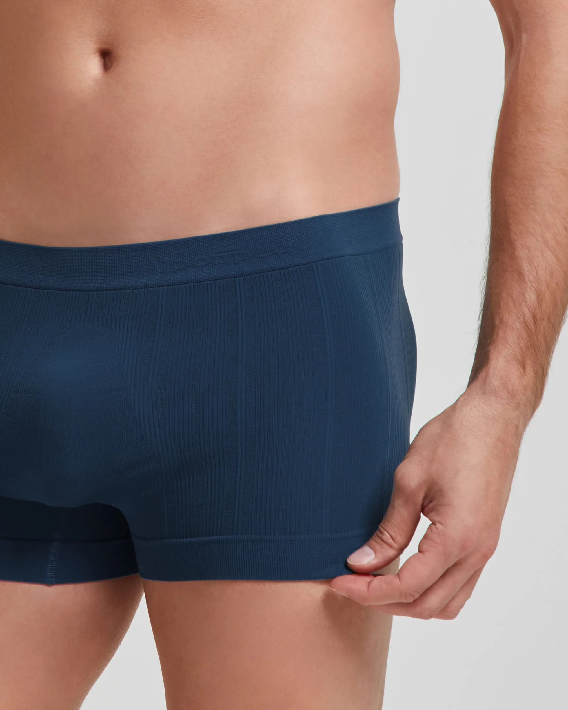 Boxer coste new moving seamless