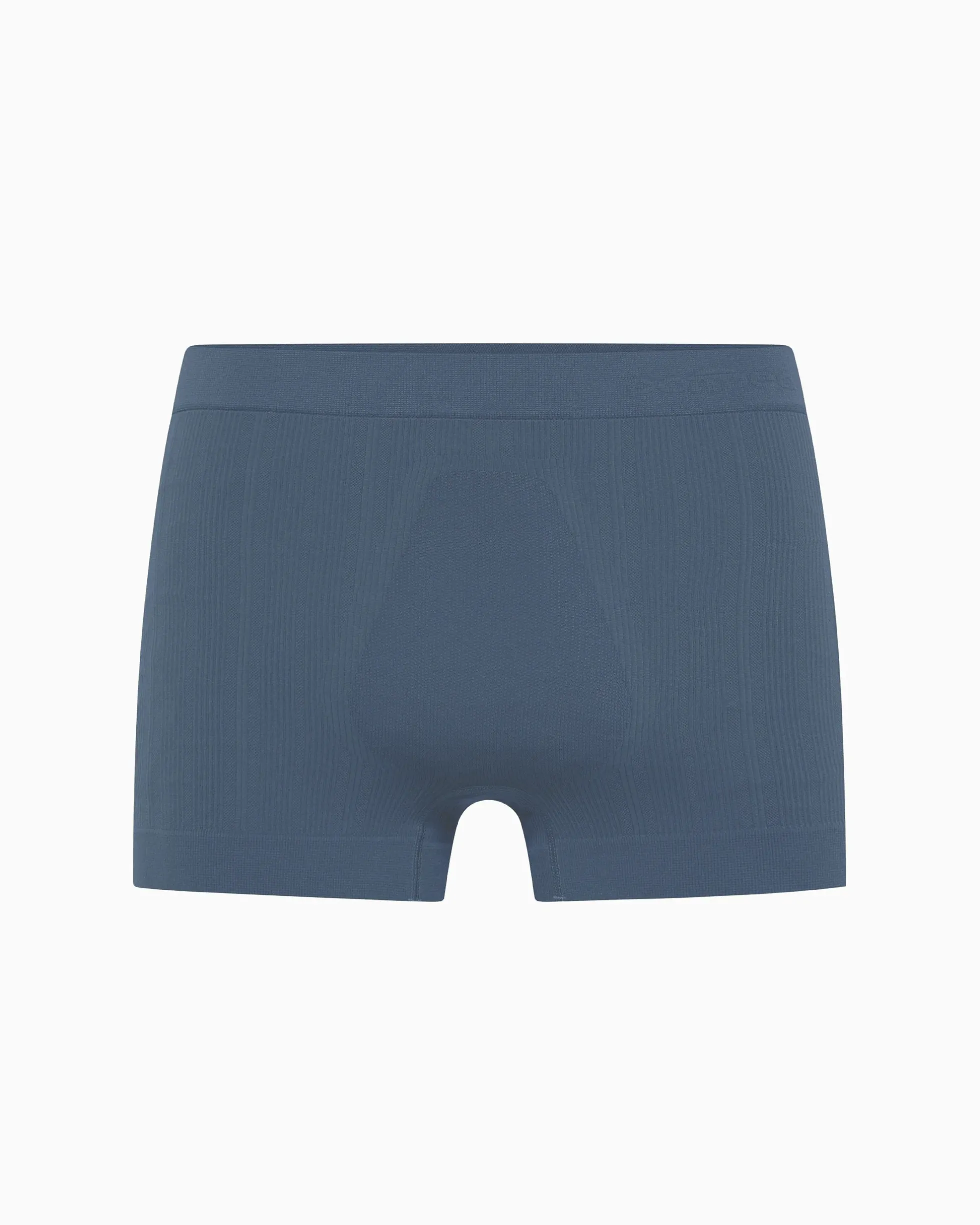 Boxer coste new moving seamless