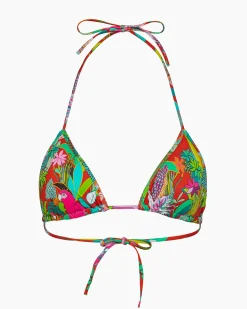 REGGISENO BORACAY